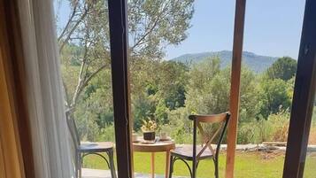 Deluxe Double Room | View from room