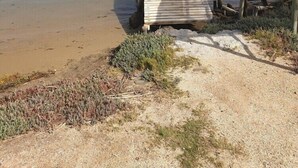 Un muelle de madera que se adentra en aguas tranquilas, con una persona pescando al final.