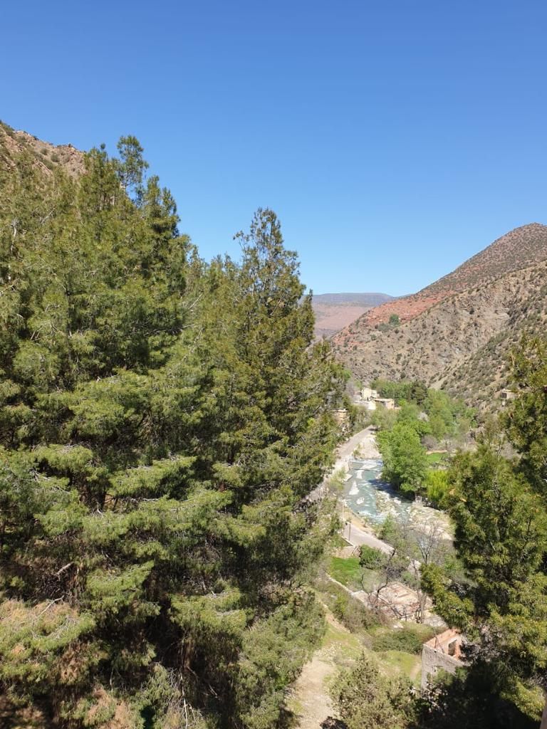 A river flowing through a forested valley with a clear sky.