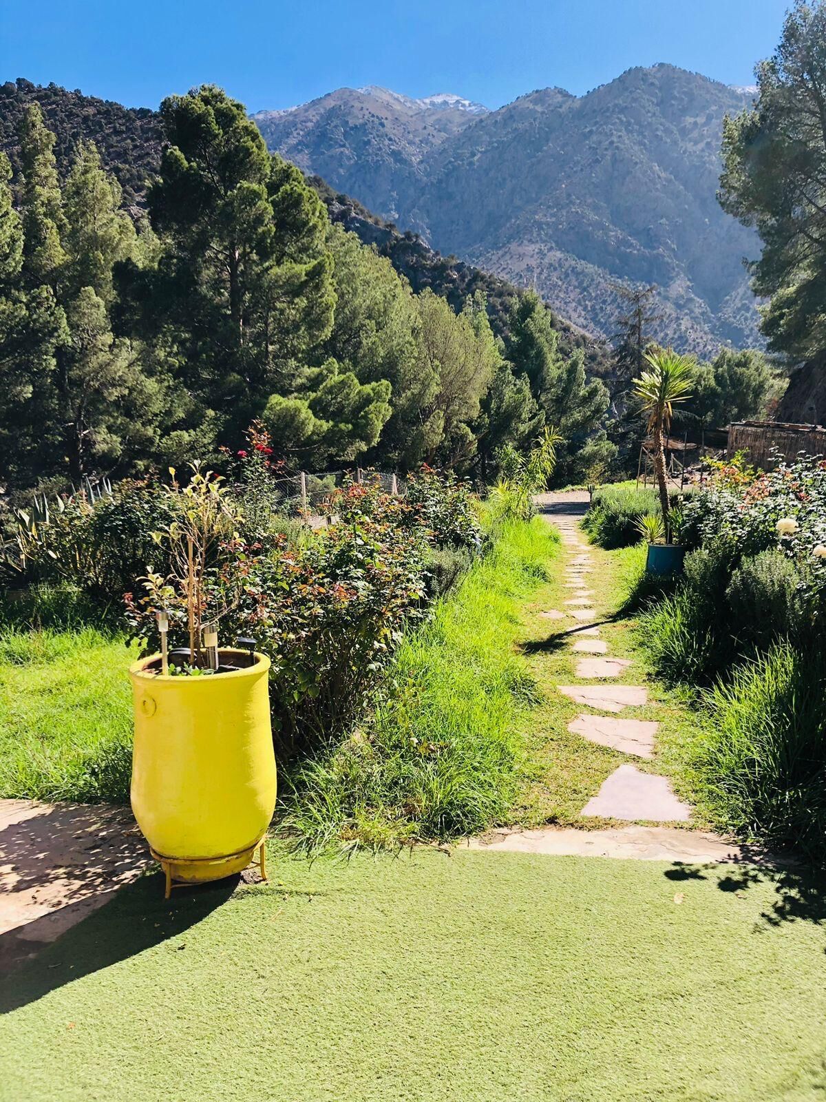 A pathway leading through a garden with a yellow planter, surrounded by greenery and mountains in the background.