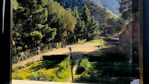 Vista de un paisaje montañoso con cielo despejado, bosque denso y un sendero de tierra que serpentea entre la vegetación.