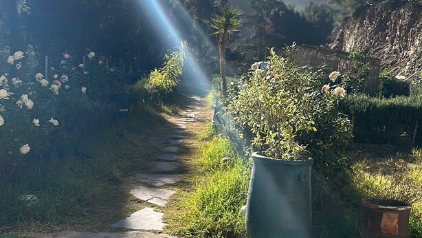 Un sendero que atraviesa un jardín con una montaña al fondo.