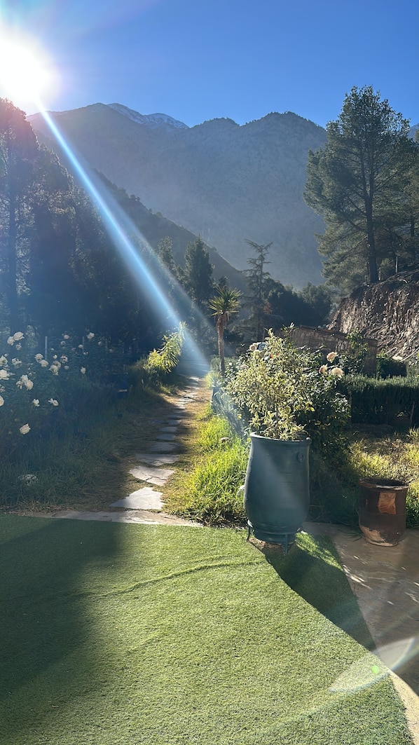 Pemandangan dari kamar