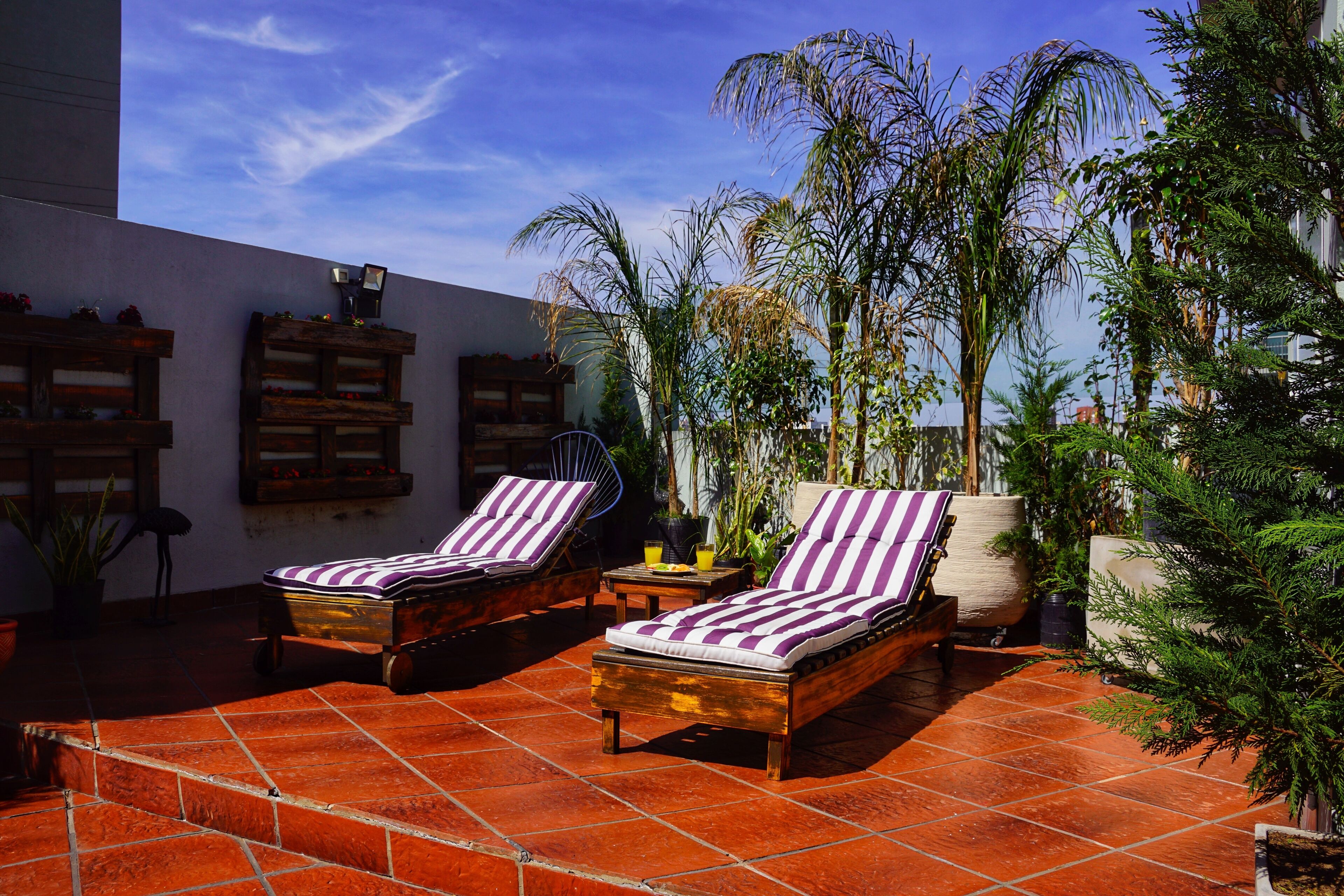 Photo - Shoshana Hotel Boutique