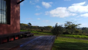 Un pontile in legno con panchine, cielo sereno e vista su un paesaggio erboso con alberi.