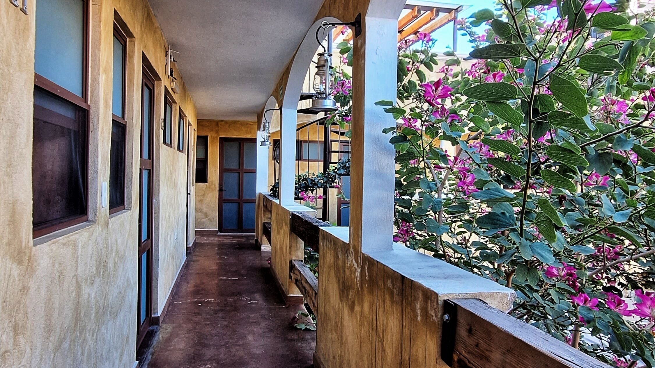 Um corredor com corrimão de madeira, uma porta no final e uma planta com flores rosa.