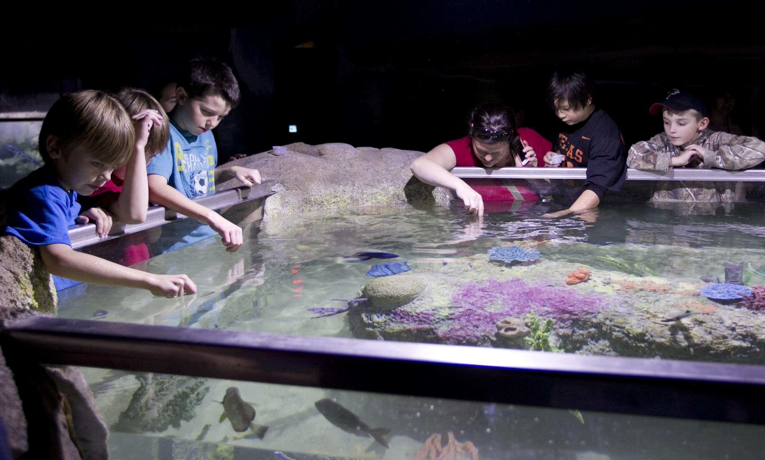 A group of people observing fish in an aquarium.