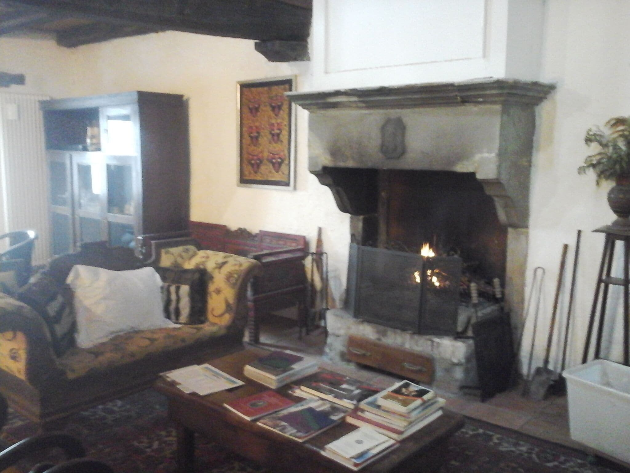 A cozy living room with a fireplace, a sofa, a coffee table with books, and a decorative wall piece.