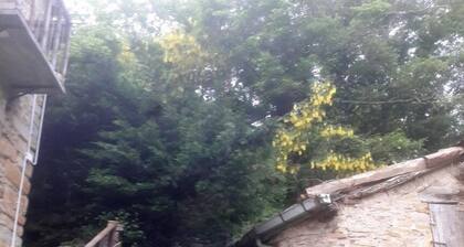 B&B Borgo del Fornello