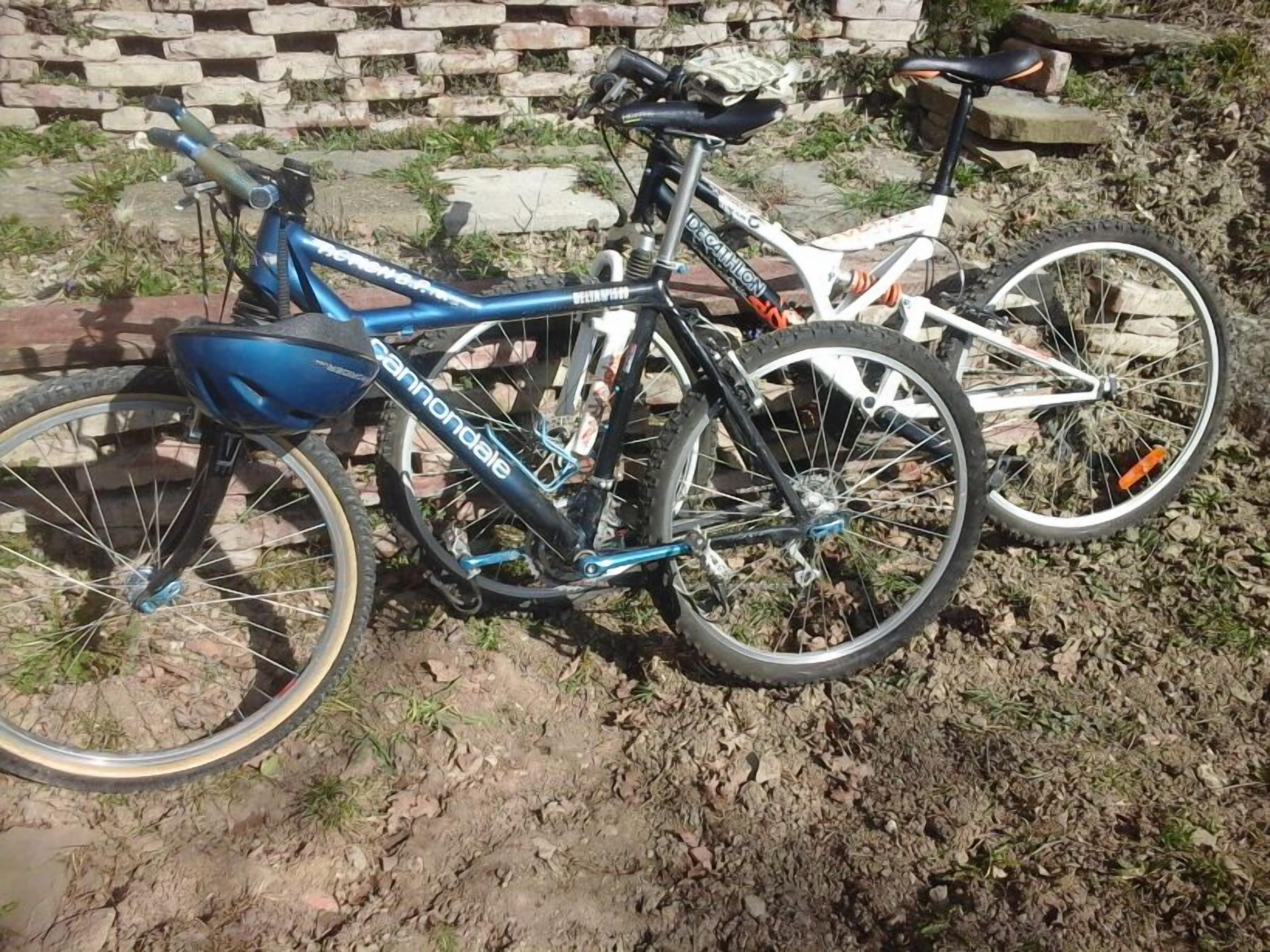 Two bicycles parked outdoors with a brick wall and greenery in the background.