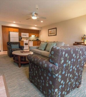 TV, fireplace, DVD player, video library