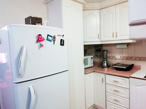 Full-sized fridge, microwave, stovetop, rice cooker