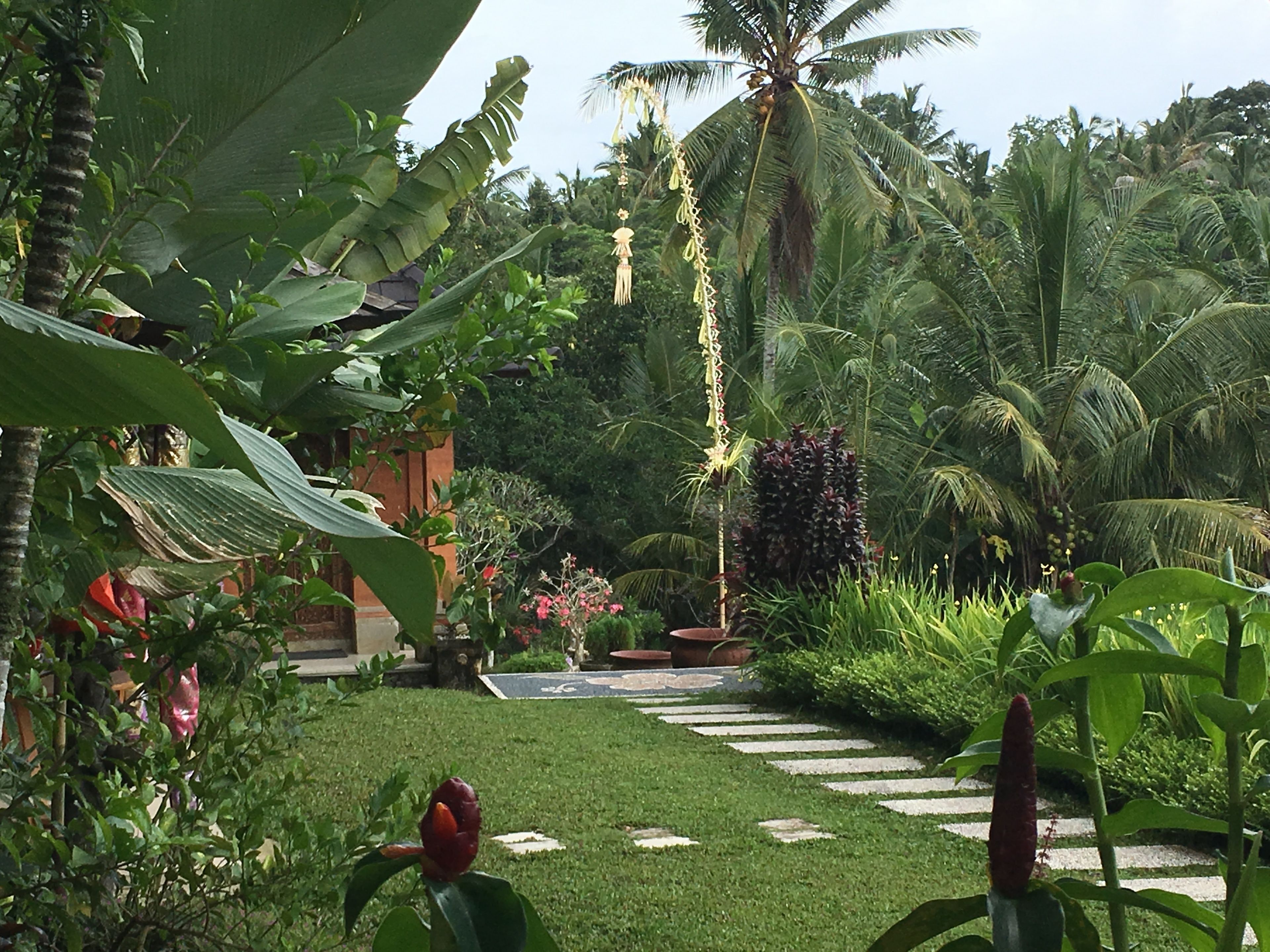 A lush garden with a stone pathway, tropical plants, and a palm tree.