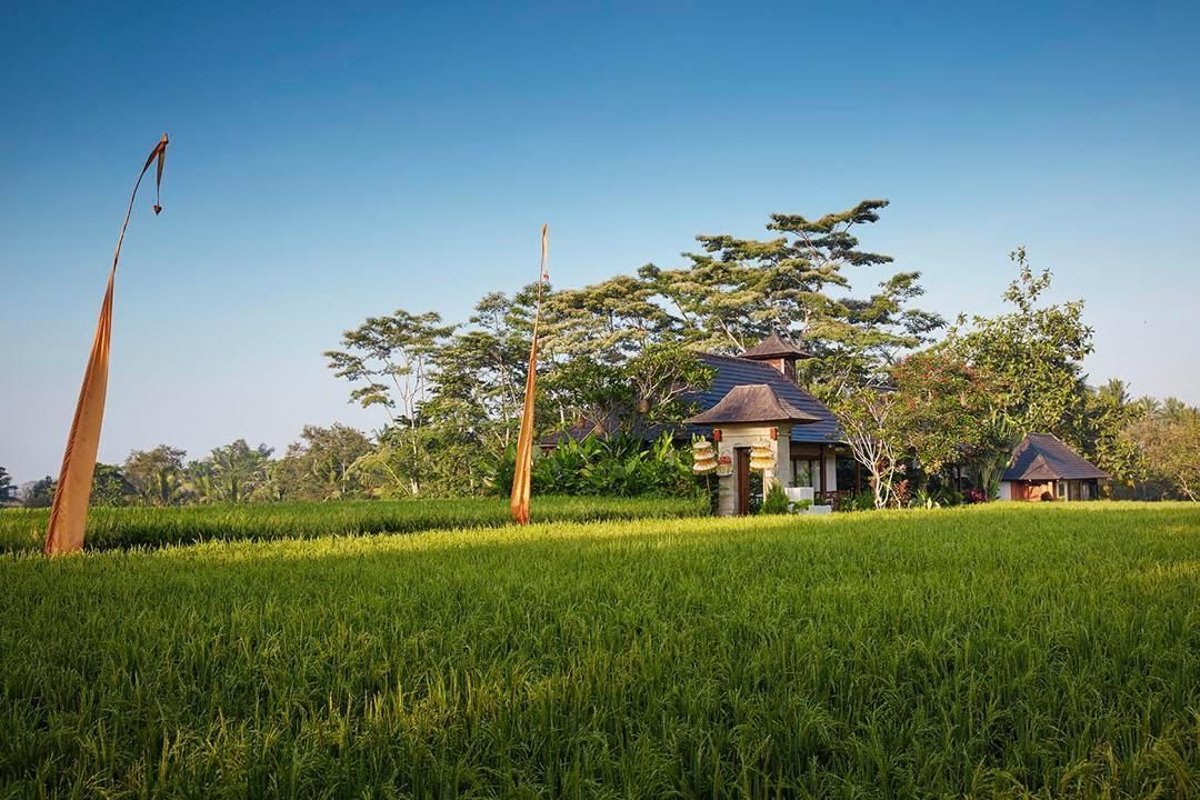 Une maison traditionnelle à toiture de chaume, entourée de champs verdoyants et d’arbres.