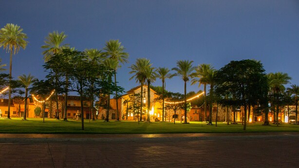 Un patio de hotel bien iluminado con palmeras, luces colgantes y un sendero pavimentado al anochecer.