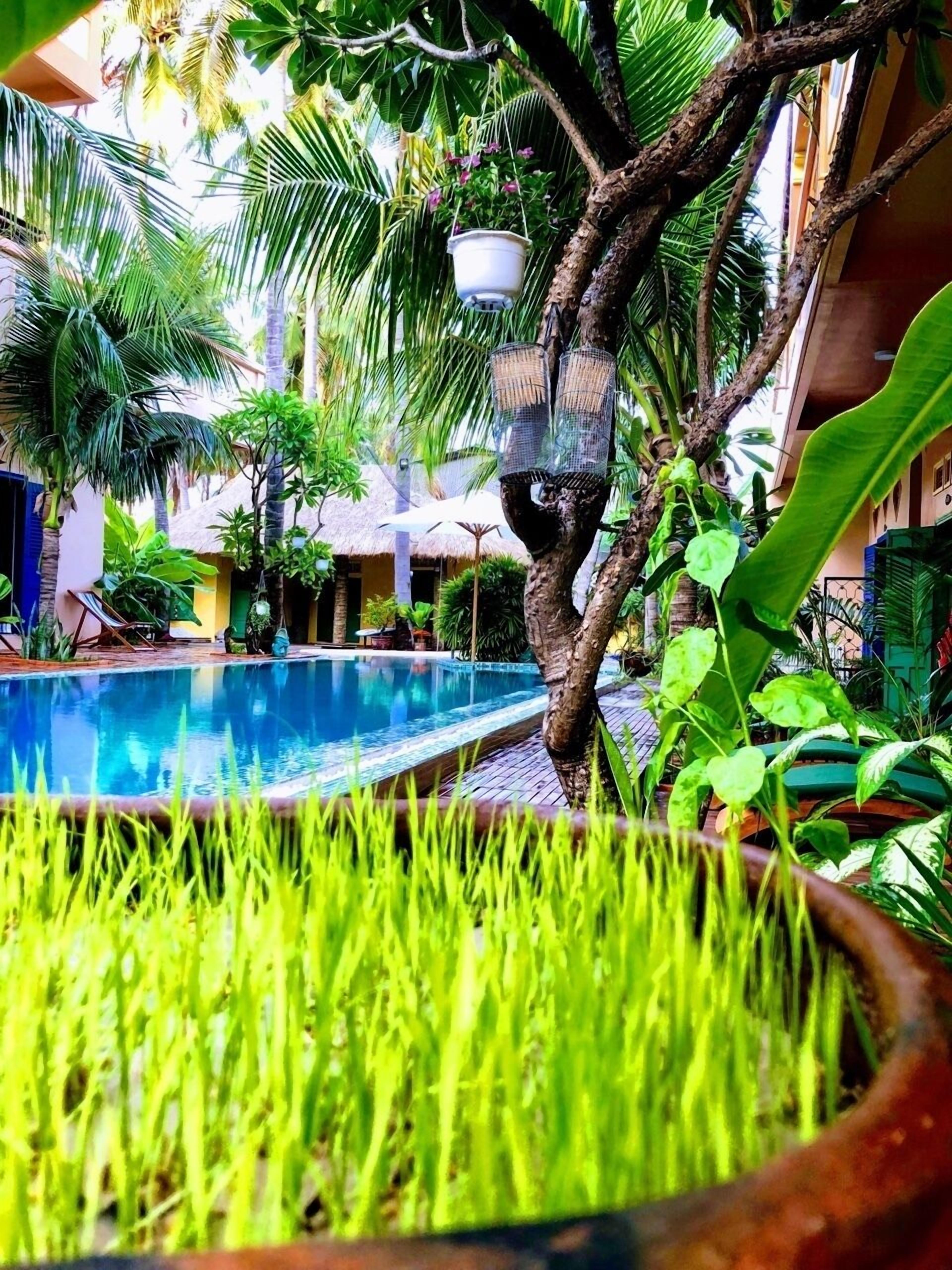 Un área de piscina con un árbol y jaulas colgantes para pájaros, rodeada de abundante follaje y una estructura con techo de paja.