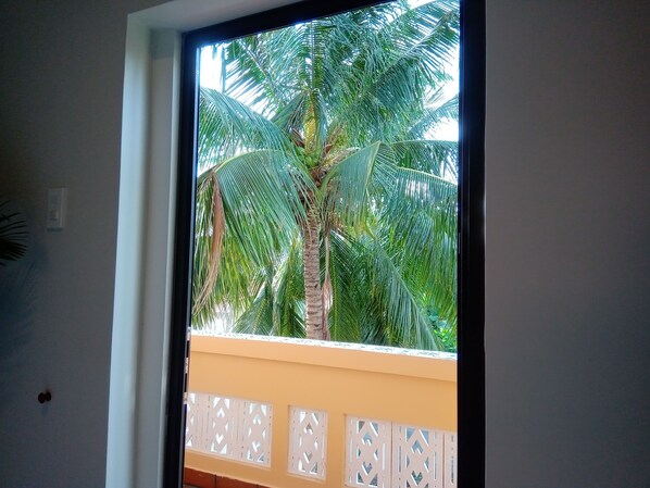 Una ventana con vista a una palmera y un panel decorativo blanco.