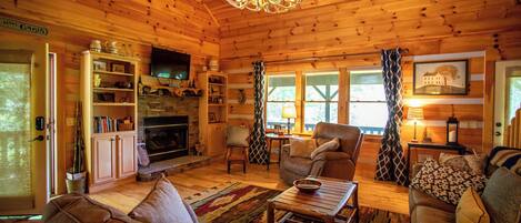 Télévision à écran plat, cheminée, lecteur de DVD