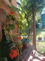Vista al jardín