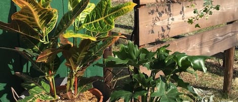 Terrain de lâhĂ©bergement