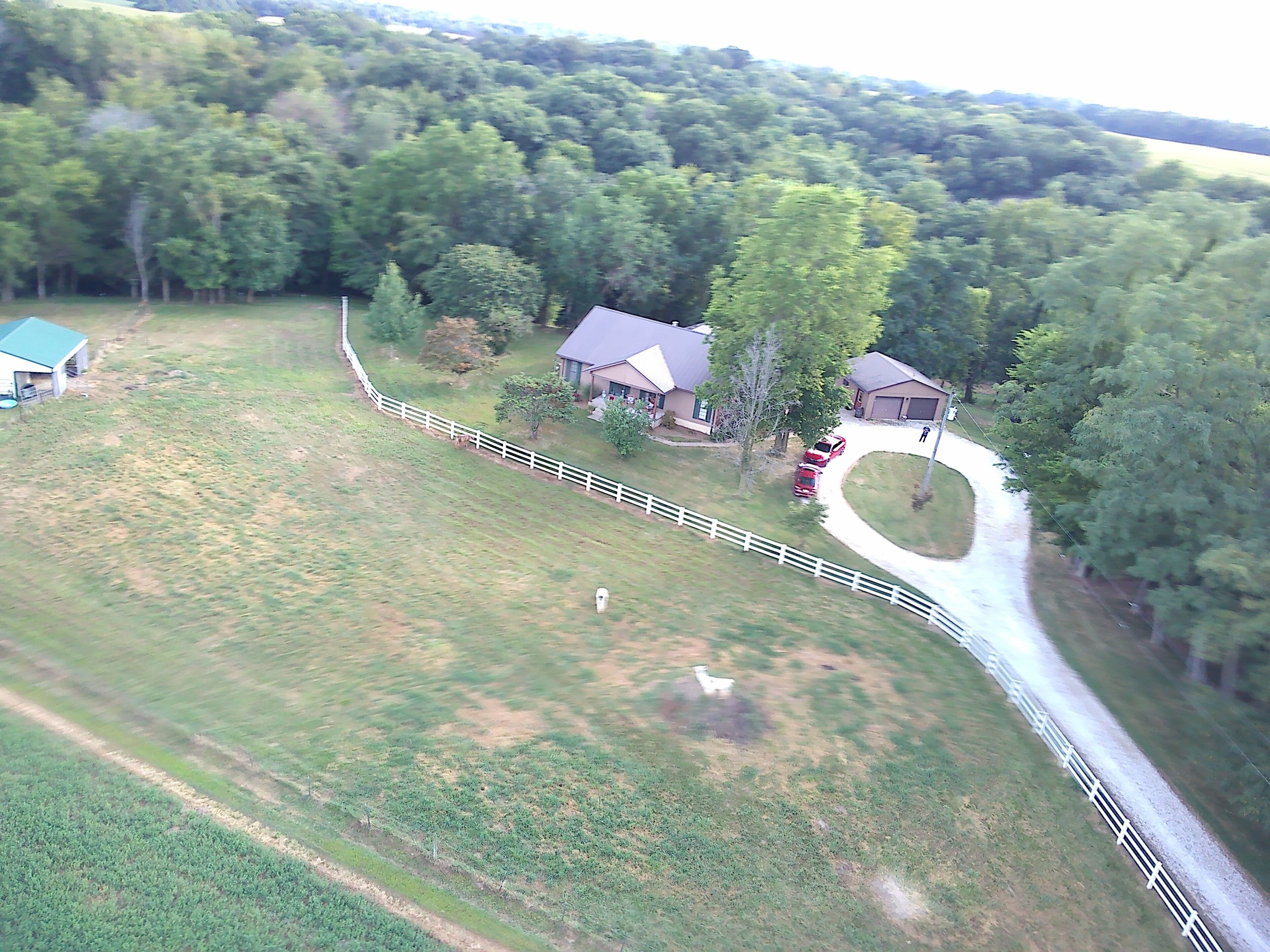 A rural property with a fenced pasture, a driveway, and a house with a garage.