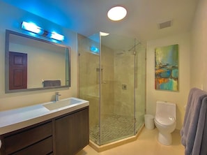 Shower, hair dryer, towels, toilet paper