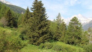 Ulkoalueet
