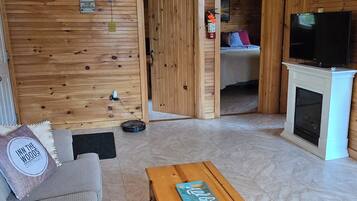 智能電視、玩具