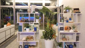 Een modern interieur met witte schapenkasten waarop diverse decoratieve objecten en planten staan.