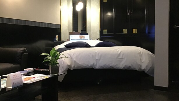 A hotel room with a bed, a desk, a laptop, a potted plant, and a wardrobe. - Valentine - Adults Only (Tottori)