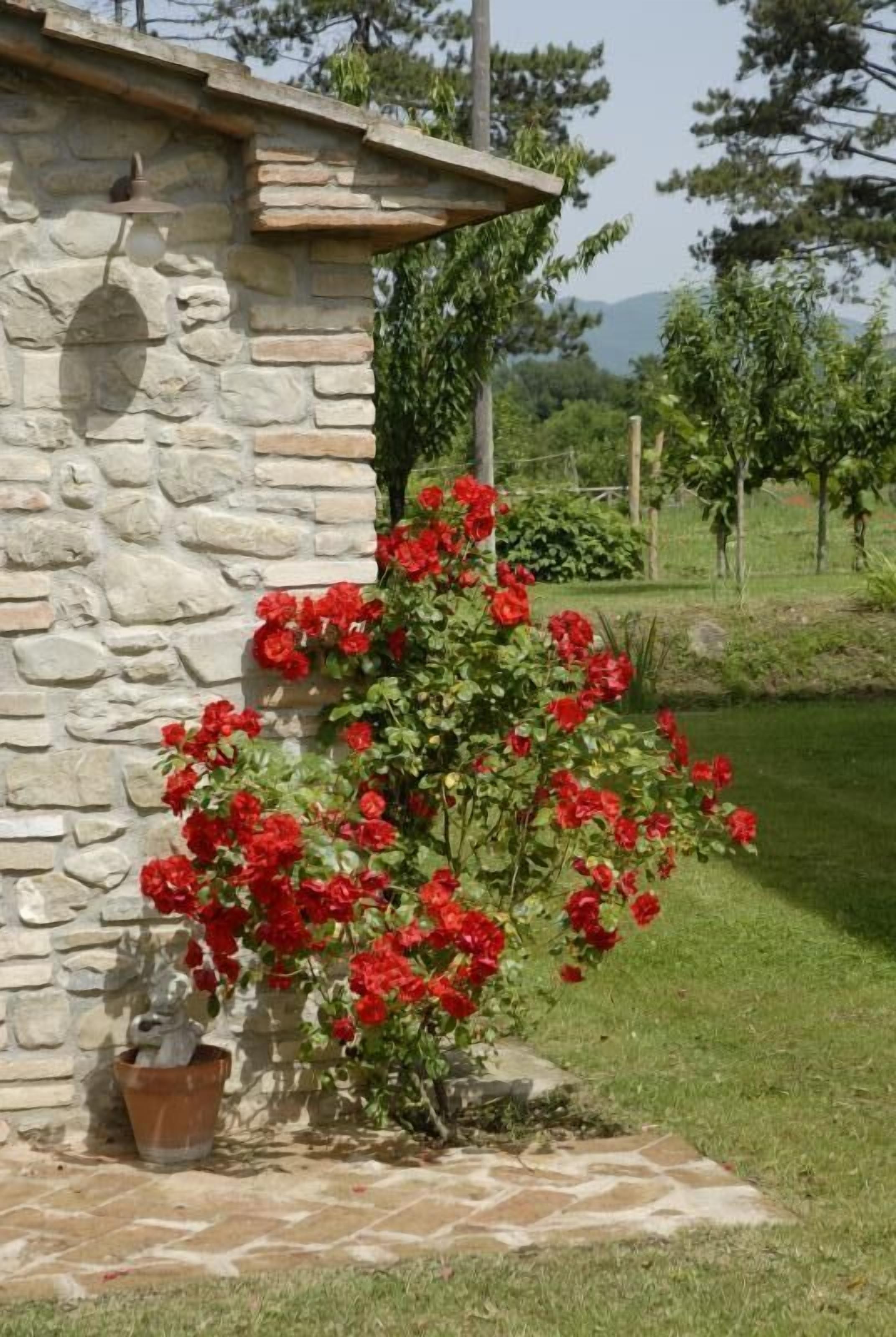 Detalle del exterior