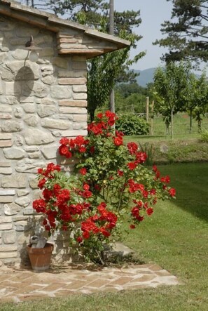 Exterior detail - Ca' Matra (San Giustino)
