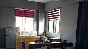 Un espace de vie compact comprenant un coin cuisine, un canapé en cuir marron avec des coussins, un tapis à motifs bleus et un ventilateur de plafond.