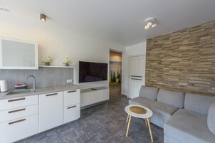 Luxury Apartment | Shared kitchen | Fridge, microwave, oven, stovetop