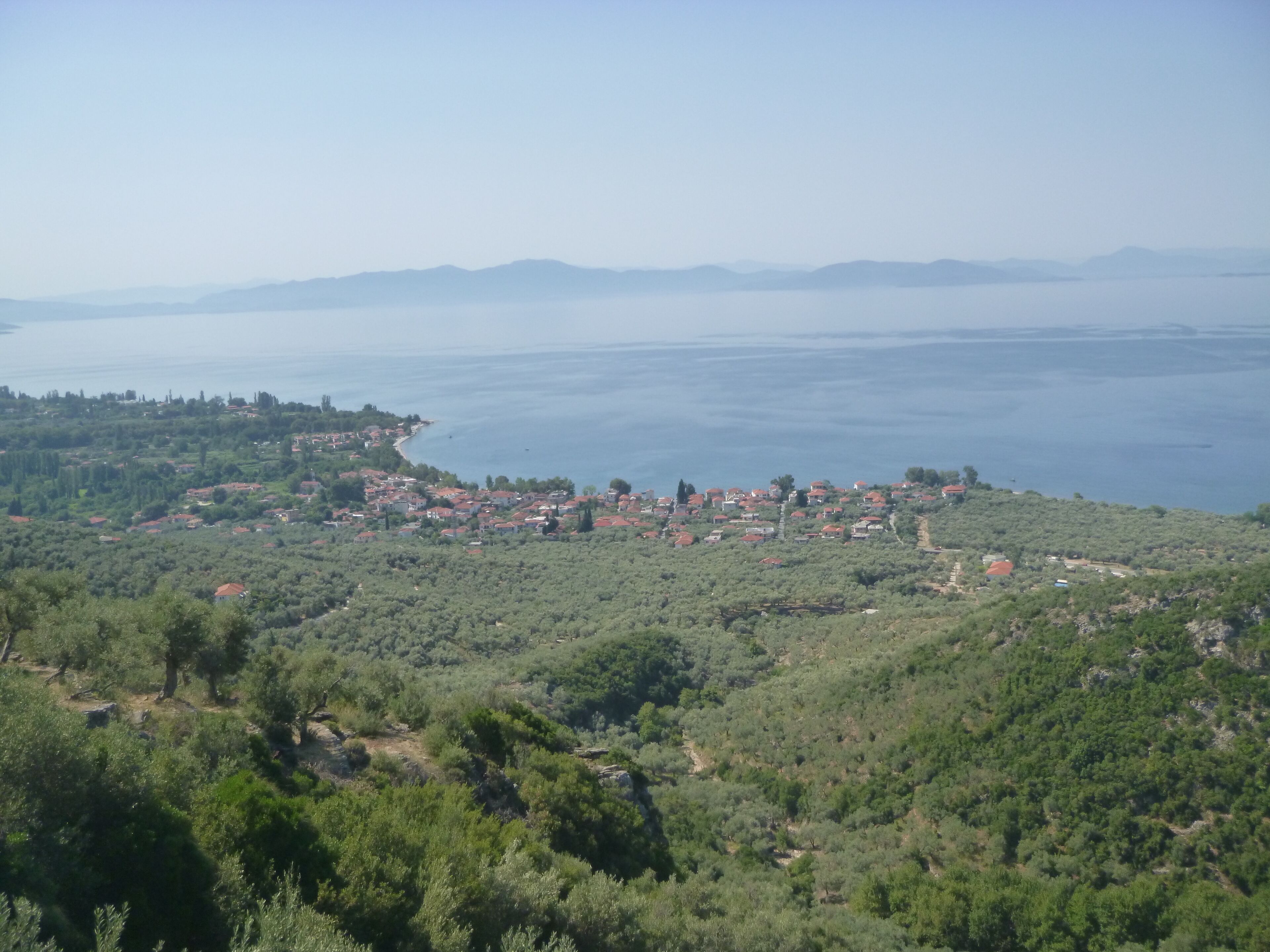 A coastal town with a mix of residential buildings and greenery, overlooking a large body of water.