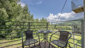 Family Apartment | View from room