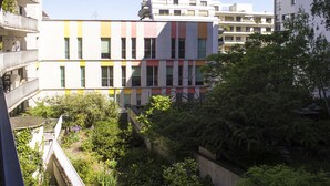 Property grounds - Charming, bright studio apartment with balcony (Paris)