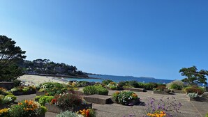 Ein Küstengarten mit verschiedenen Blumen und Blick auf Strand und Meer.