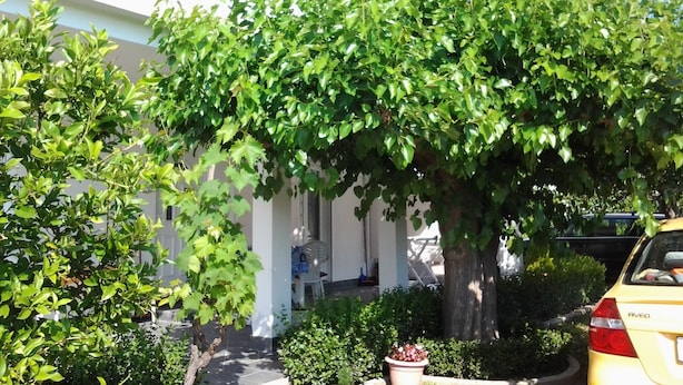 Exterior detail - Apartments Snjezana (Lopar)