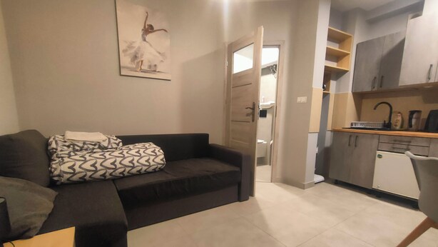 A living room with a dark sofa, a patterned pillow, and a remote control on a small table. There is a painting on the wall and a kitchen area with cabinets and a sink. - Studio Doris (Kraków)
