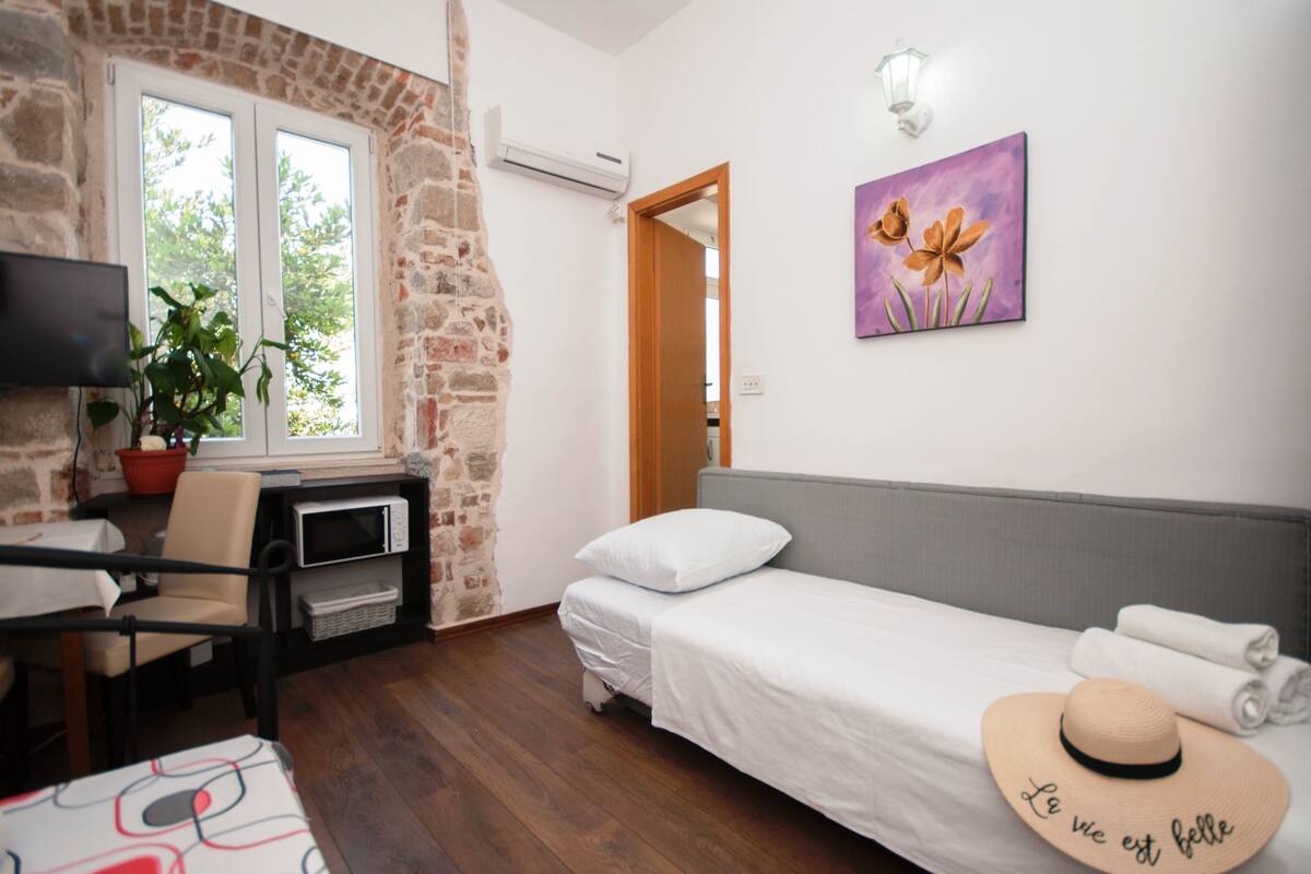 A bedroom with a bed, a TV, a plant, and a painting.