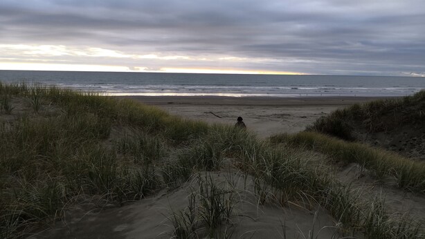 Una playa con dunas de arena y una persona sentada sobre la arena.