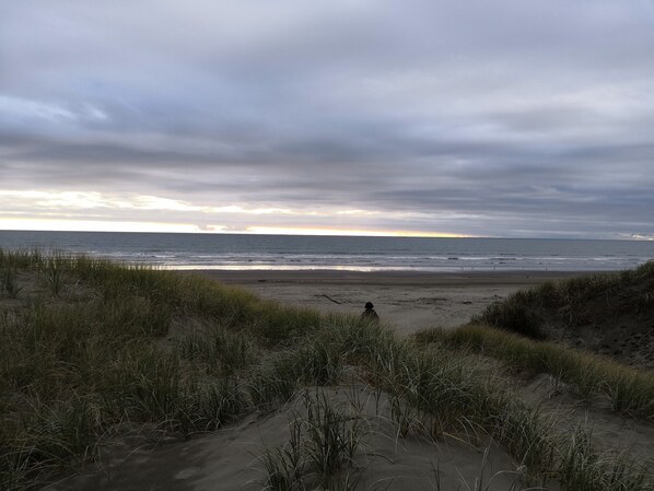 Beach nearby - Fully fenced family and pet friendly iconic kiwi bach awaits (Foxton Beach)