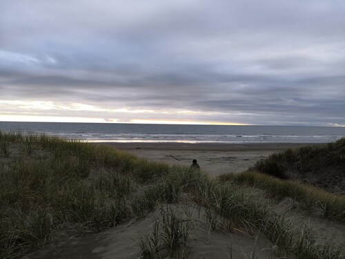 Fully fenced family and pet friendly iconic kiwi bach awaits