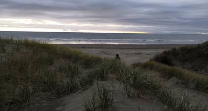 Fully fenced family and pet friendly iconic kiwi bach awaits
