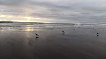 Una spiaggia nelle vicinanze