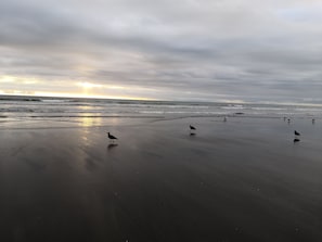 Ubicación cercana a la playa