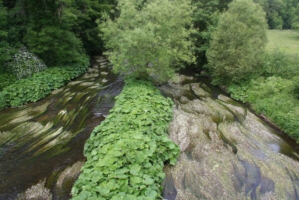 Hiking - Landhotel Ewerts (Insul)