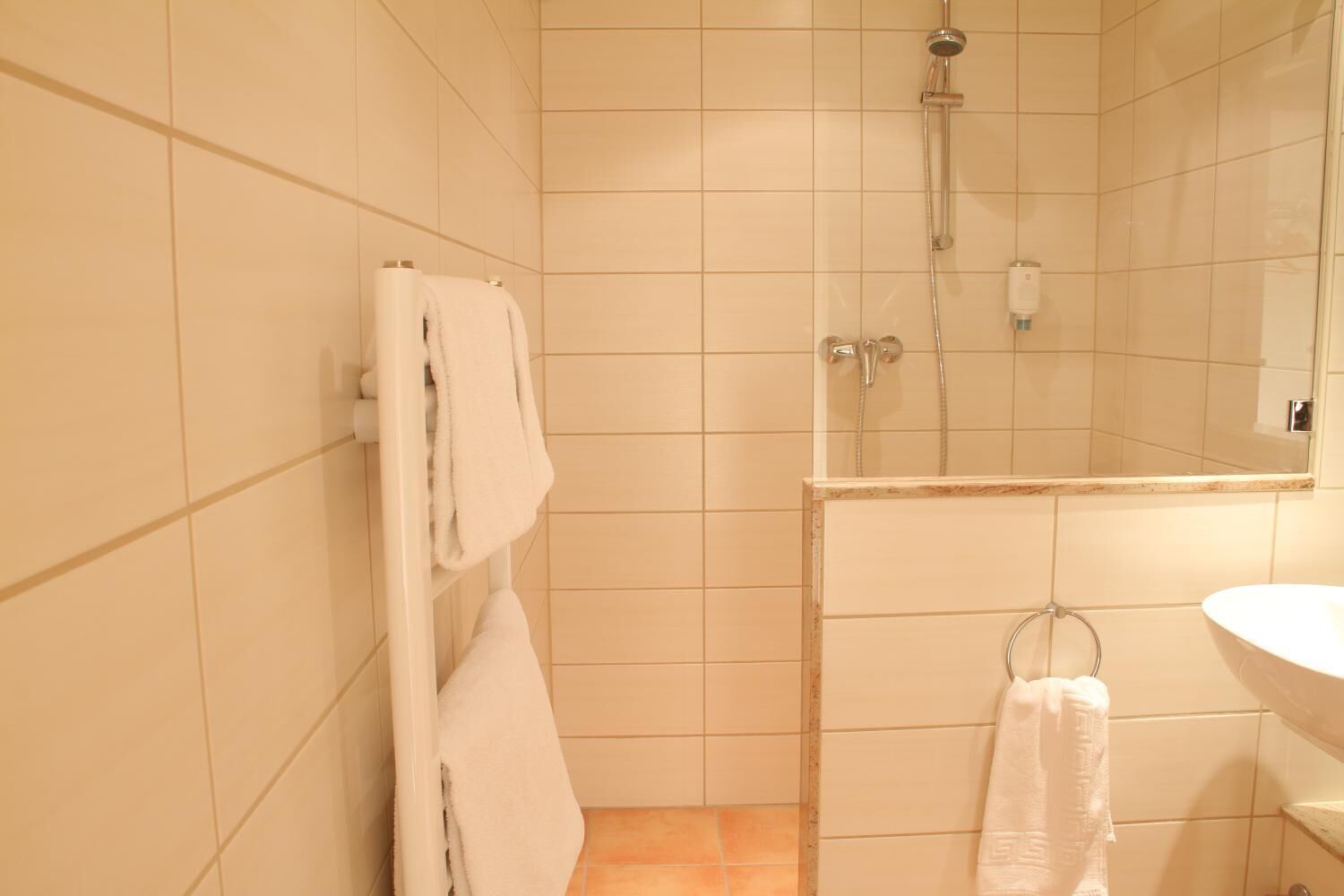 Une salle de bain avec une douche, un lavabo et un porte-serviettes.