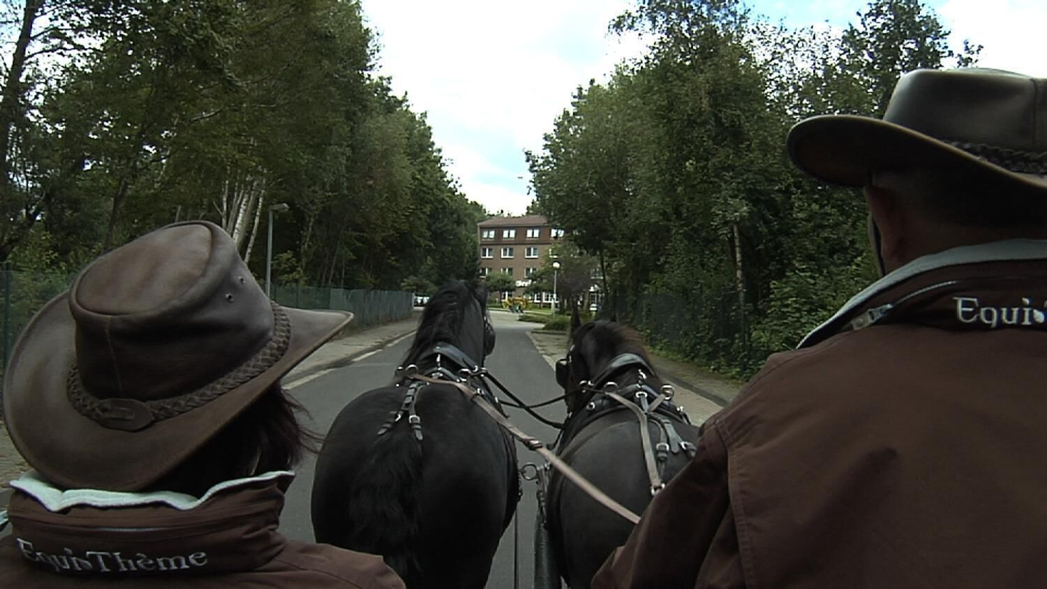A horse-drawn carriage with passengers.